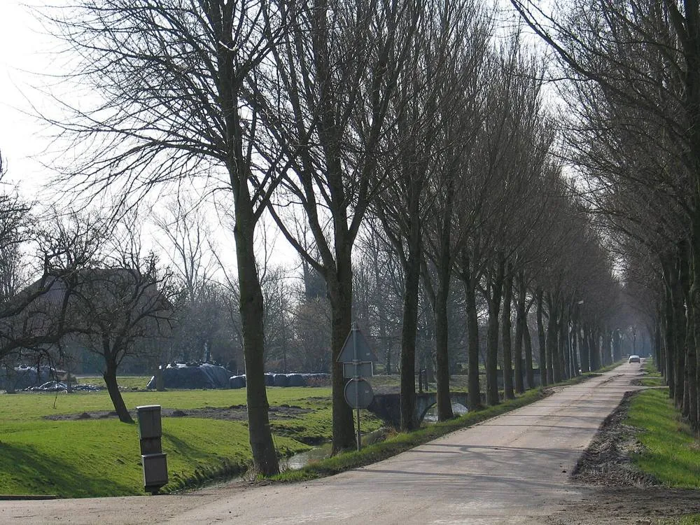 Purmer: Kruispunt in de Purmer