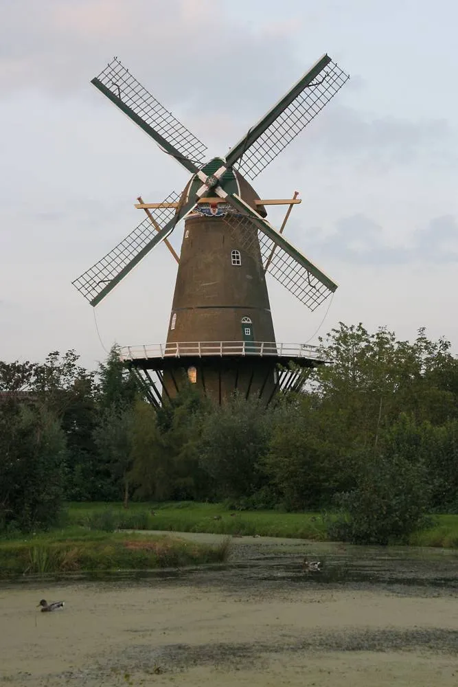 Bergambacht: Bergambacht - molen Den Arend